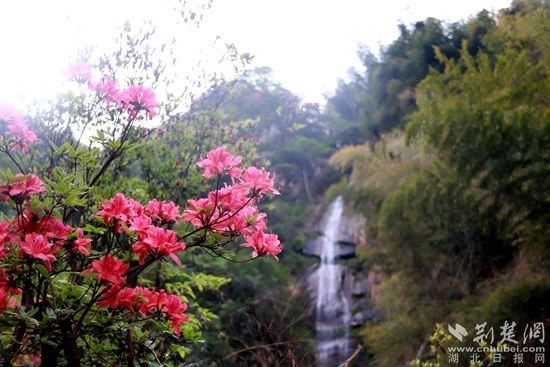 黃龍山頂，風(fēng)景如畫 黃錚 攝_副本.jpg.jpg